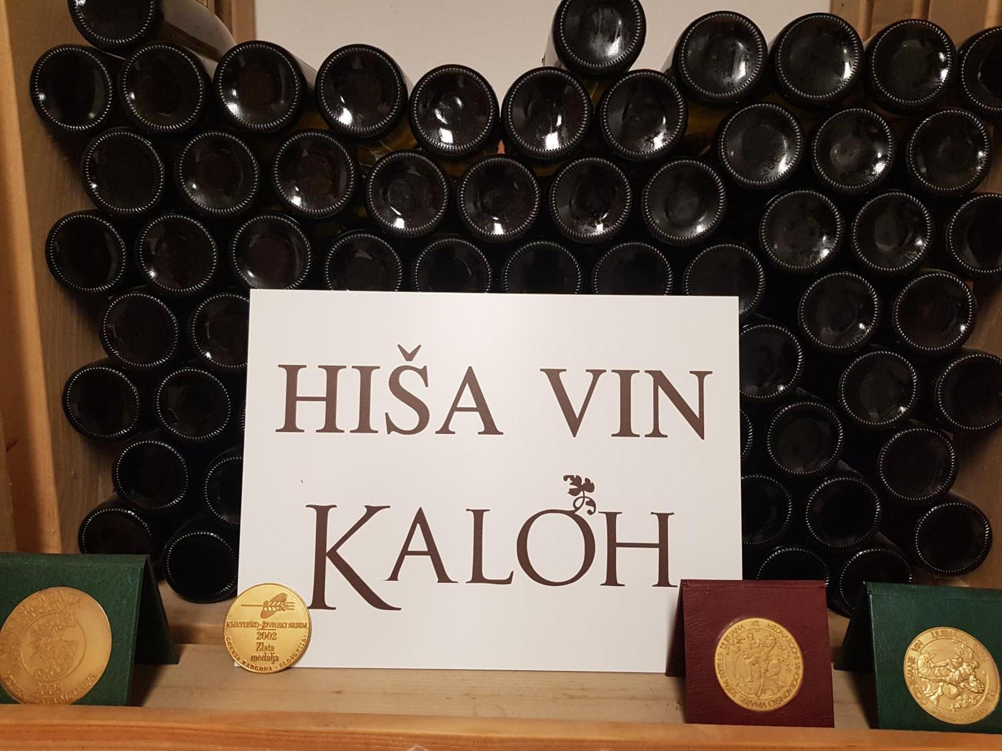 Villa Wine House Kaloh à Maribor Extérieur photo