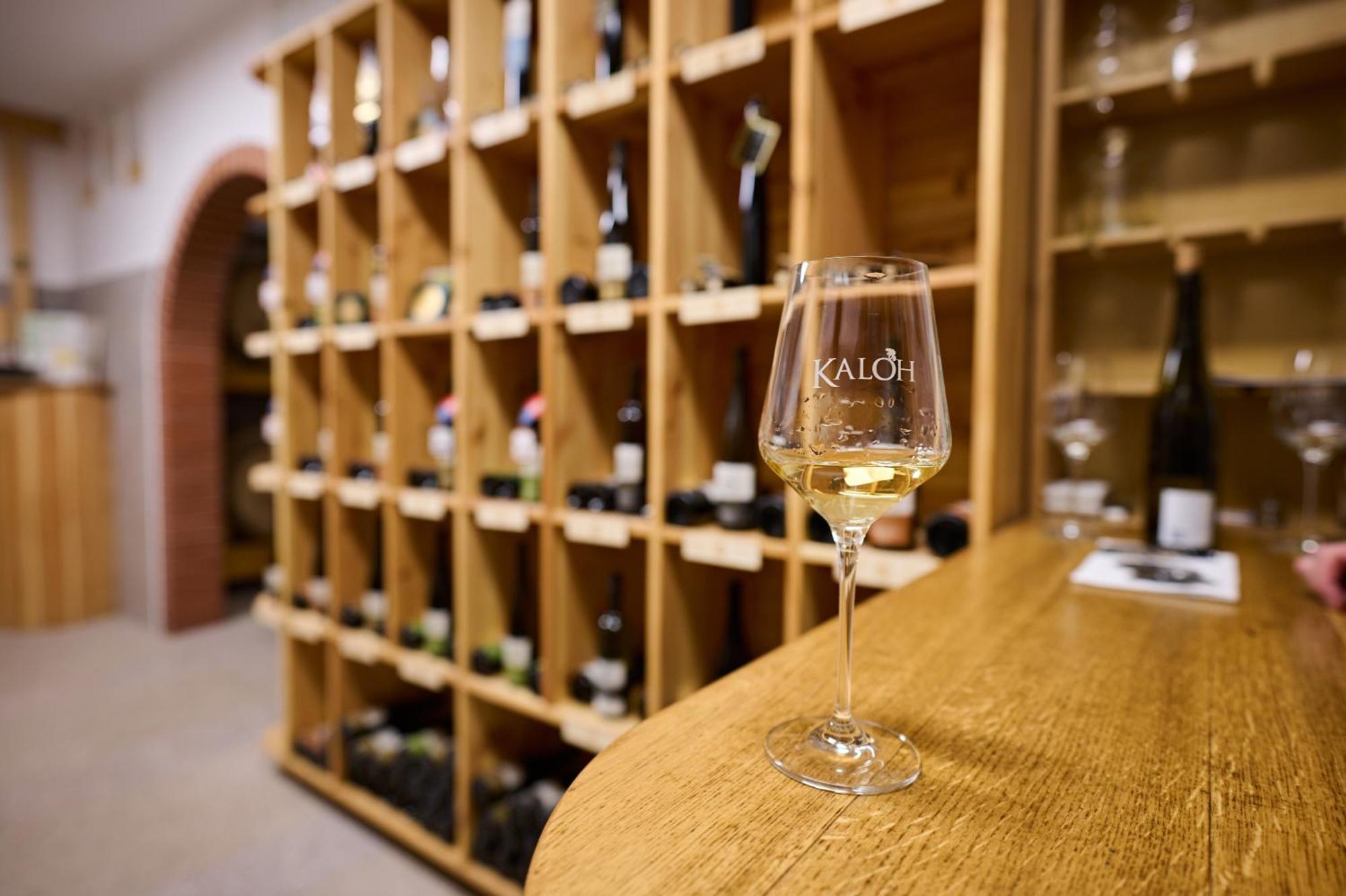 Villa Wine House Kaloh à Maribor Extérieur photo