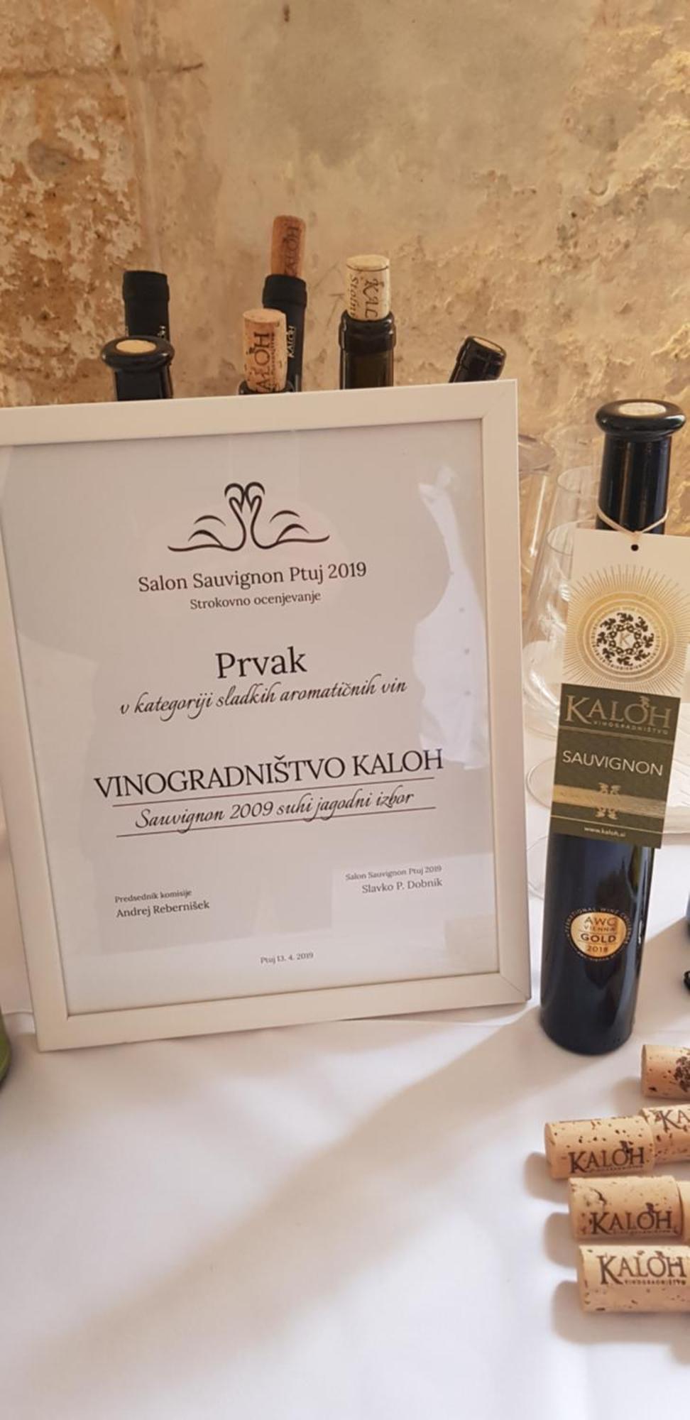 Villa Wine House Kaloh à Maribor Extérieur photo
