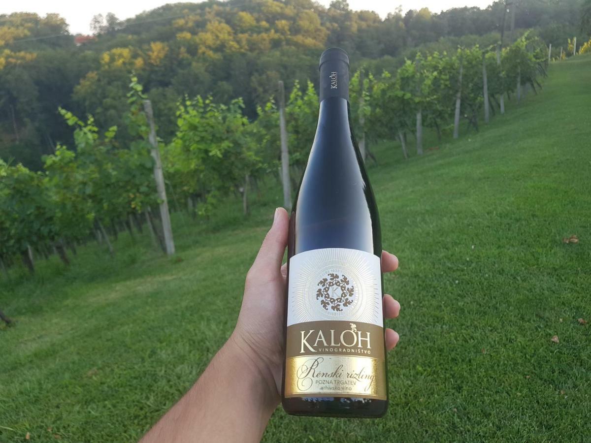 Villa Wine House Kaloh à Maribor Extérieur photo