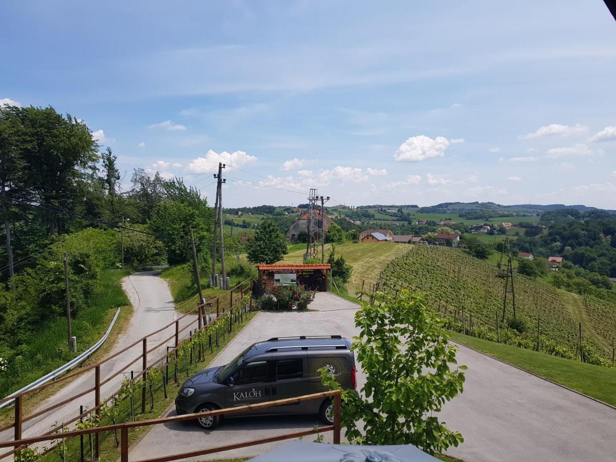 Villa Wine House Kaloh à Maribor Extérieur photo